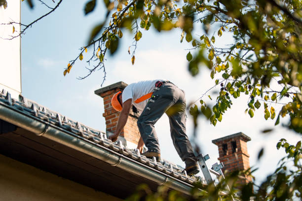 Best Roof Maintenance and Cleaning  in Johnson City, KS