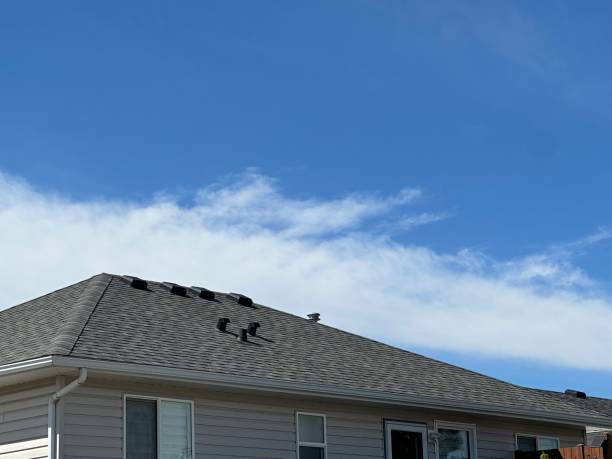 Best Metal Roofing Installation  in Johnson City, KS